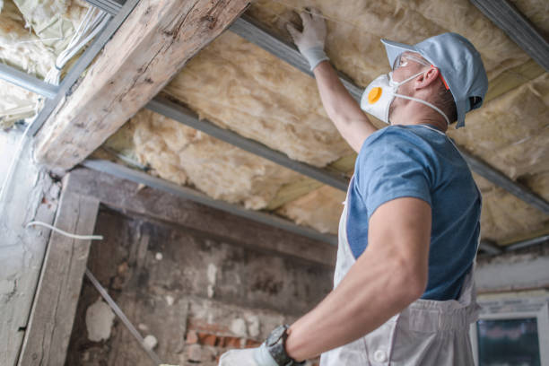 Best Commercial Insulation in Santa Barbara, CA